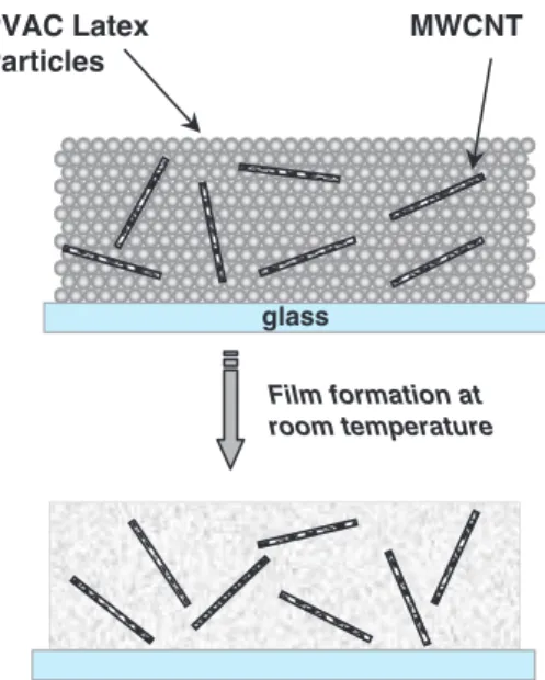 Figure 1. The cartoon representation of the film cross-section before and after the film formation.