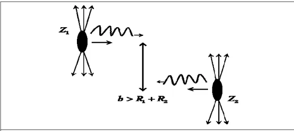 Figure 1. Fast nucleus Ze that surrounded by the strong electromagnetic field. The 