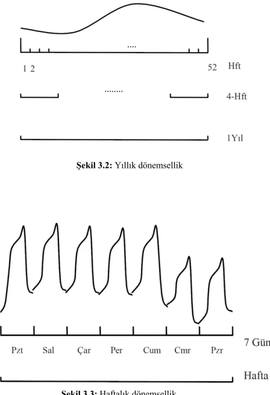 Şekil 3.2: Yıllık dönemsellik 