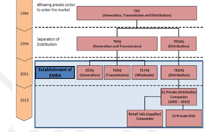 Figure 2.1 The Structure of the Current Electricity Sector in Turkey [IAEA,2014]  2.2