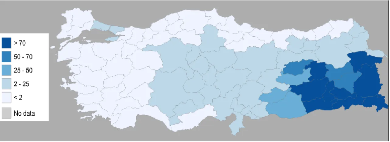 Figure 3. Percentage of Kurdish population according to the 1965 Census. 