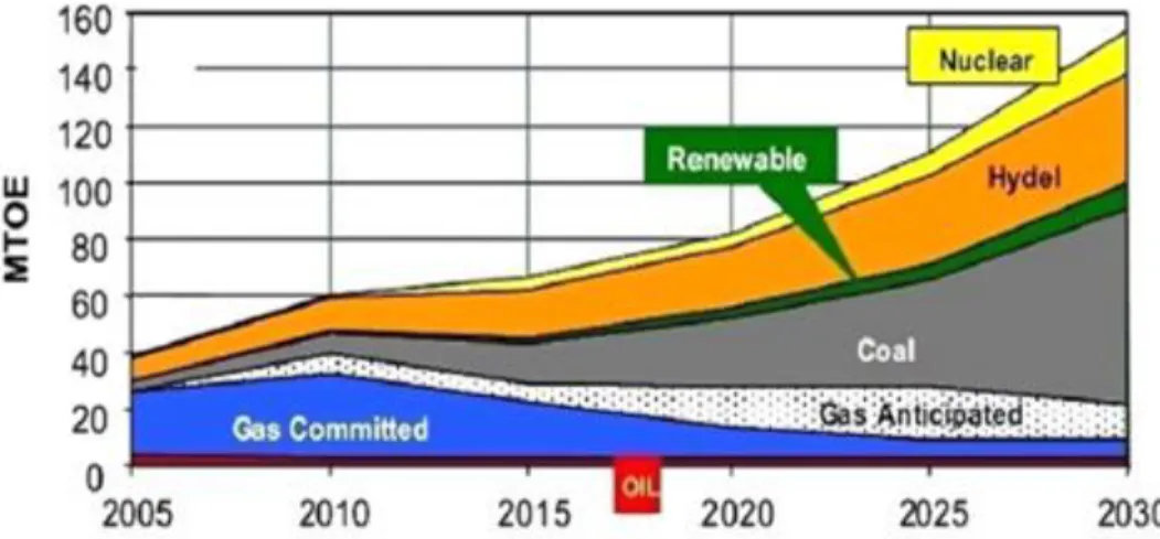 Figure 2.1 Energy reserve utilization of Pakistan till 2030 (Meyhoefer 2008) 