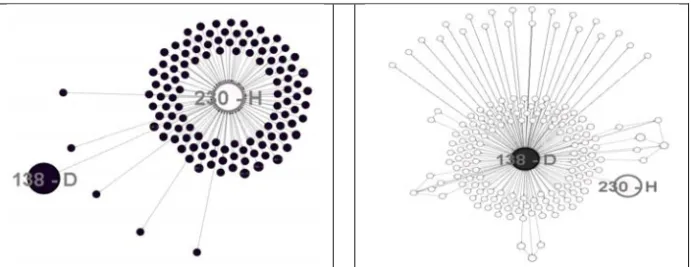 Figure 	  The	  connection	  graph	  of	  node#	  230	  