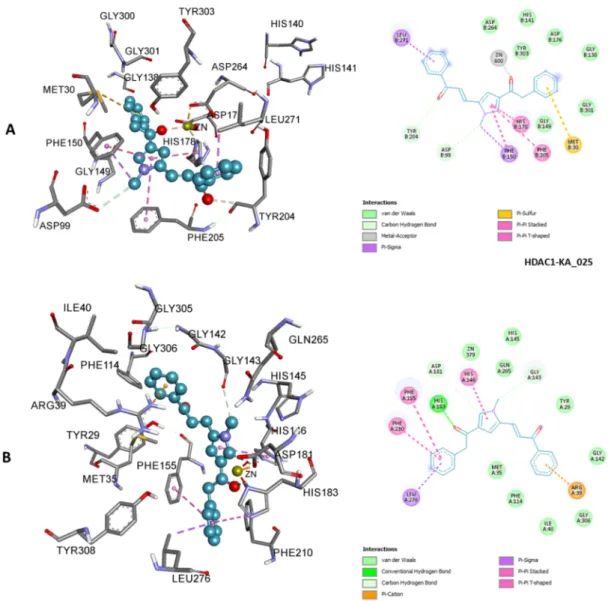 Figure 7. 3D (left) and 2D (right) representations of HDAC1 active site containing KA_025; zinc ion interacted 