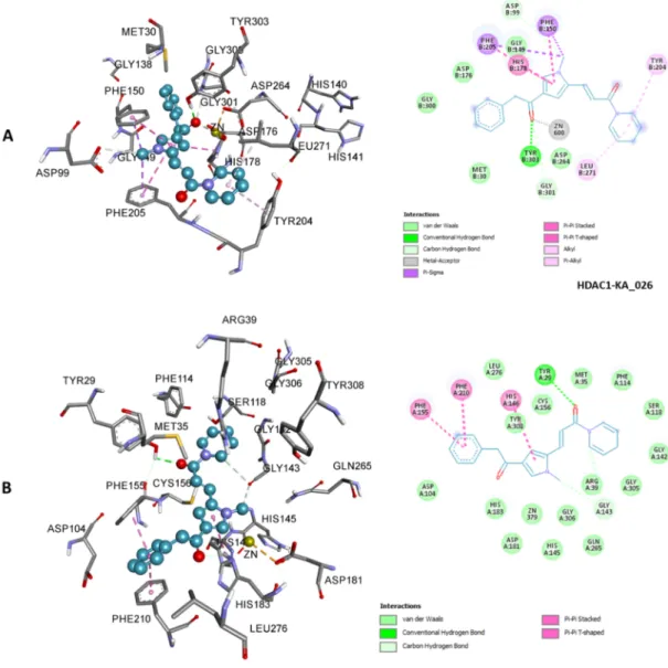 Figure 8. 3D (left) and 2D (right) representations of HDAC1 active site containing KA_026; zinc ion interacted 