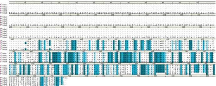 Figure 2A. Multiple sequence alignment of Class I HDACs and HDAC6. The degree of sequence conservation is indicated in 