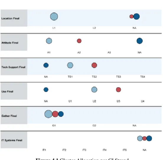 Figure 4.1 Cluster Allocation per CI Strand