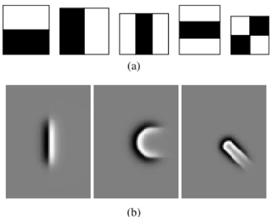Figure 1: Filters used for modeling the faces: 1(a)Haar–like filters and 1(b)Anisotropic Gaussian filters.