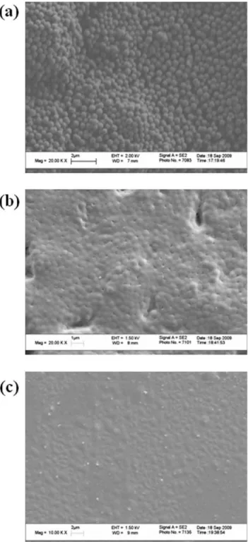FIG. 12. Scanning electron micrographs (SEM) of composite ﬁlms with 5 wt% PDVB annealed at (a) 100 8C, (b) 1808C, (c) 2708C for 10 min.