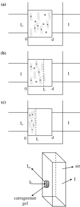 Fig. 2 The position of i-carrageenan gel in the fluorescence cell during drying, I o is the excitation and I is the