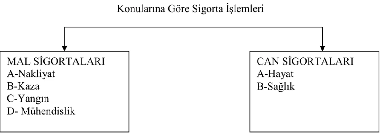 Şekil 2.1. Konularına göre sigorta işlemleri. 