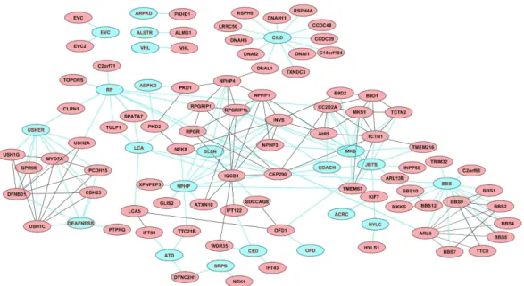Figure 1.2. A protein interaction network (taken from [2])