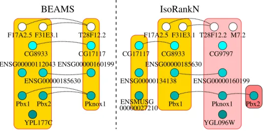 Figure 5.1. Comparative visualization of a sample clustering produced by the BEAMS and the IsoRankN algorithms running on the IsoBase data