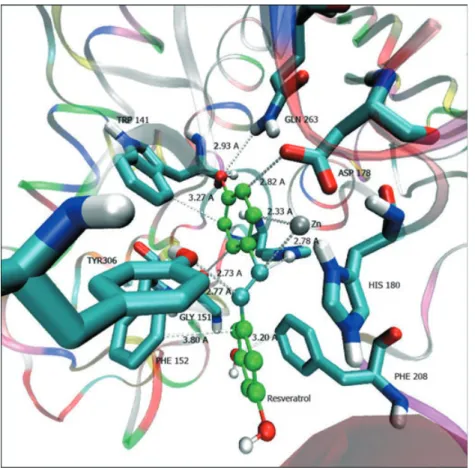 Figure 2: Docking result of (E )-resveratrol with HDAC8. The (E )-resveratrol was designated in CPK style; the important residues in the active site of the enzyme were presented by ligorice style