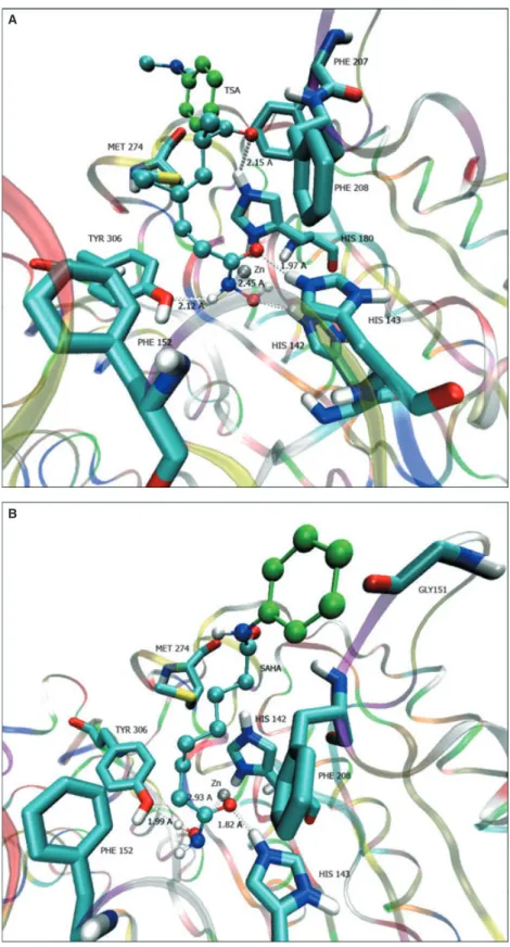 Figure 3: View of TSA (A), SAHA (B), in the active site cavity of HDAC8. The figures were generated by using VMD.