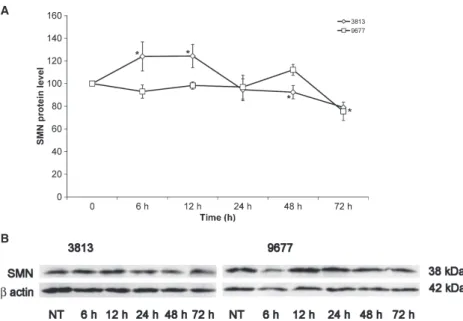 Figure 8: Effect of (E )-resvera- )-resvera-trol treatment on SMN protein levels in two SMA type I fibroblast cell lines (A)