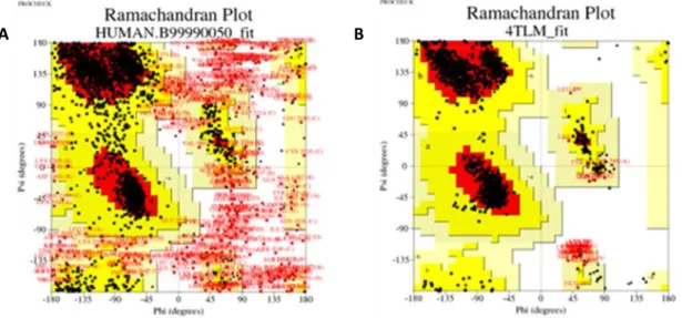 Figure 8: Ramachandran plots. A) The results of the model obtained by modeling as tetramer
