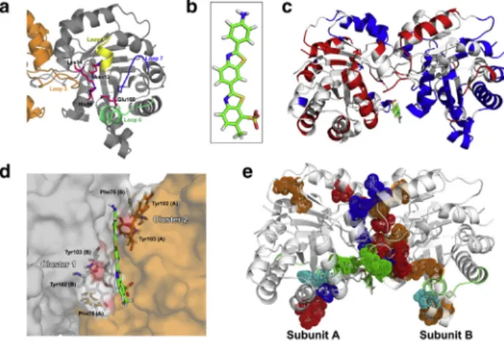 Fig. S2 for each run. Two-way ANOVA was applied on res- res-idue-based MSFs, with the null hypothesis that the ligand has no effect on the residue MSF