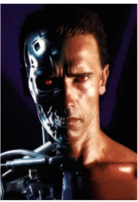 Figure 7: The Terminator 