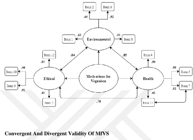 Figure 3.1: Confirmatory Factor Analysis of Motivations for Veganism Scale