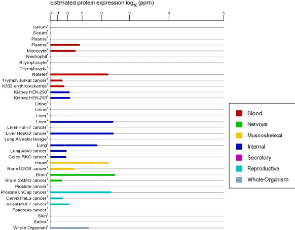 Figure 2.8: MAOB estimated expression levels on different tissues and blood [56].  Figure was taken from GeneCards website 