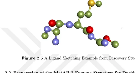 Figure 2.5 A Ligand Sketching Example from Discovery Studio
