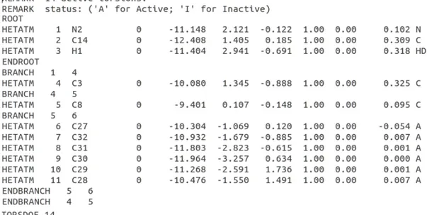 Figure 2.9 An Example for PDBQT File Format