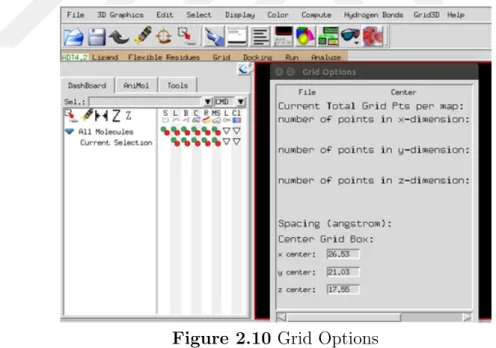 Figure 2.10 Grid Options