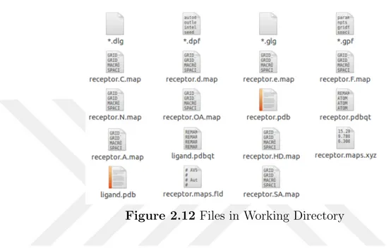 Figure 2.12 Files in Working Directory