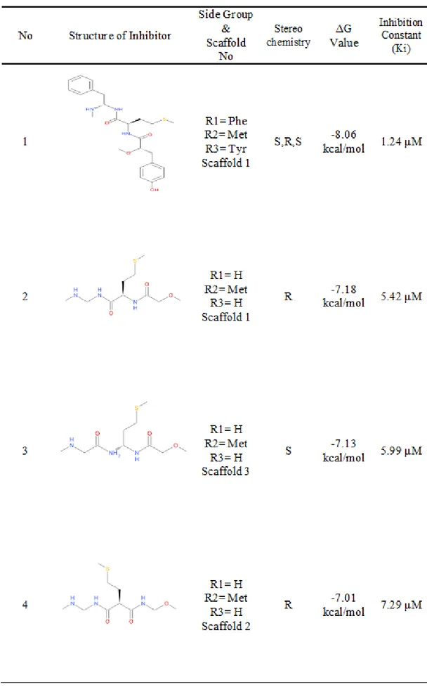 Table 3.1 Evaluation of 70 Peptidomimetic Ligand Inhibitors according to their