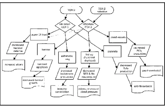 Figure 1. 8: Outcomes of COX-1 and/or COX-2 inhibition adapted from Ref 34 . 