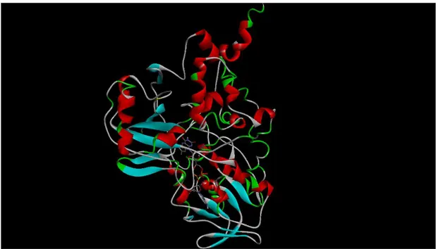 Figure 1.2. Three-dimensional structure of monoamine oxidase B enzyme.  