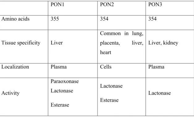 Table 2.1: The basic features of paraoxonase family (4-6) 