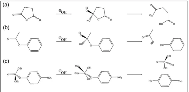 Figure 2.2: General mechanisms of hydrolysis of three substrate types: lactones (a),  esters (b) and phosphotriesters (c) (15) 