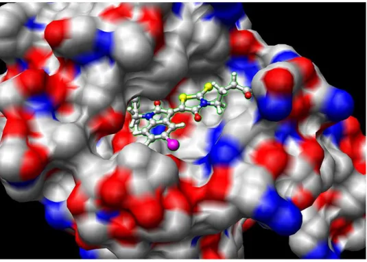 Figure 2.6: A small molecule “docks” to the protein target (Wikipedia).  2.3.2. Description of the Docking Problem 