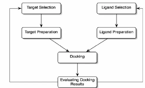 Figure  3.1. Workflow  of docking  studies 