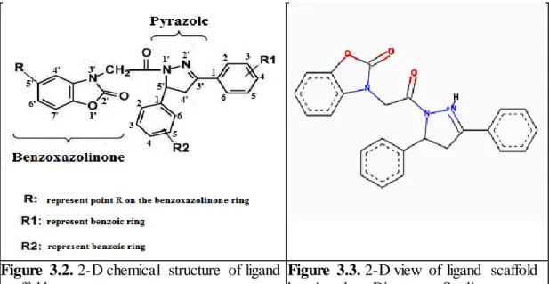 Figure  3.2. 2-D chemical  structure  of ligand 