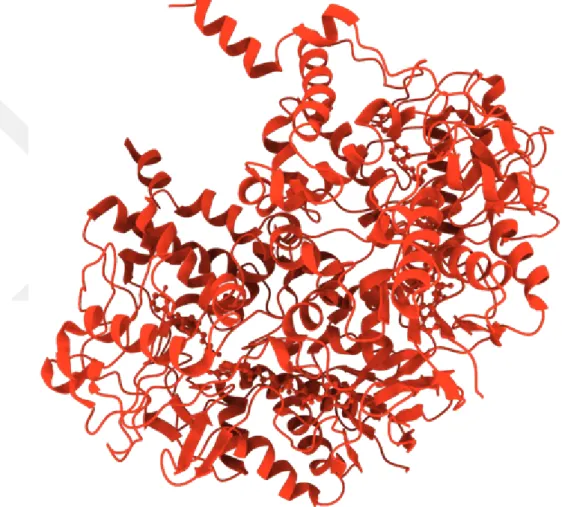 Figure 3.3 Image showing the binding sites in MOA B, Using Discovery Studio