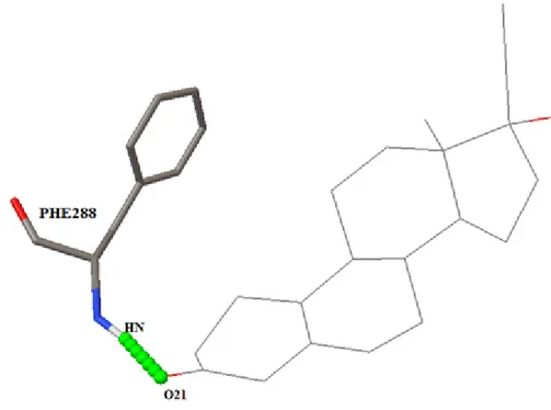 Figure 4.2 Complex showing interaction between 1EVE with ZINC03831223 at amino acid residues- PHE 288 using AutoDock tools.
