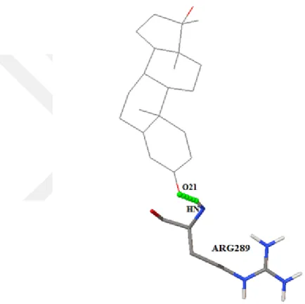 Figure 4.3 Complex showing interaction between 1EVE with ZINC03831061 at amino acid residues- ARG289, using AutoDock tools.