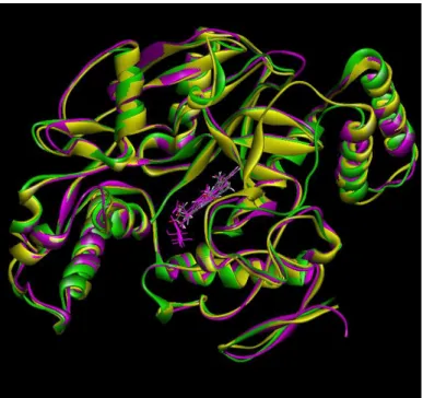 Figure 4 | Superposition of Chain A Backbone of 1OM4(nNOS), 3DQS(eNOS) and 