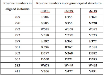 Table 2 | Some Residues in Three Isoforms’ Active Sites. Residue differences are  indicated in bold