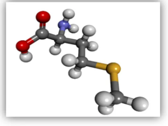 Figure 1. Structure of methionine. Each element is colored as follow: Carbon (black), Hydrogen (white),  Oxygen (red), Nitrogen (blue) and sulfur (deep yellow)