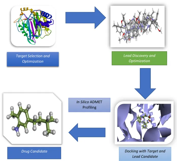 Figure 4 In Silico Approach during Drug Discovery process[29] 