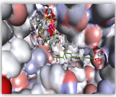 Figure 8. 2D diagram that depicts various interactions such as Vander Waals, carbon Hydrogen bond,  conventional Hydrogen bond, metal-Acceptor, pi-Alkyl ,etc, between the receptor and Fumagillin