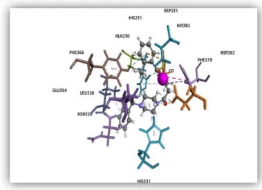 Figure  14:  The  3D  orientation  of  compound  2  in  the  binding  cavity  of  MetAP2  enzyme