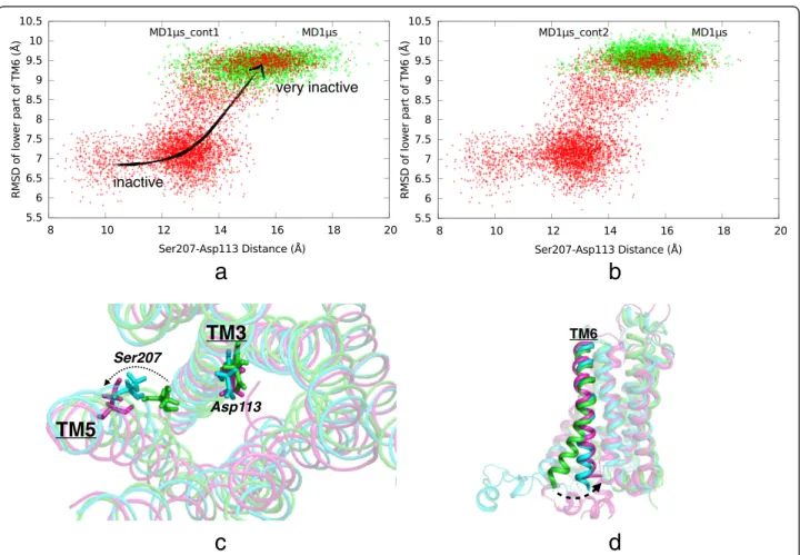 Fig. 4 Simultaneous conformational changes in extracellular and intracellular parts of the receptor