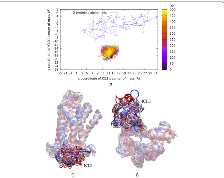 Fig. 6 Results of 500 ns long rstr2 run. ICL3 preserves its initial open state as bond restraints narrows the ligand-binding site, in agreement with the allosteric coupling behavior between the intra- and extracellular parts of the receptor