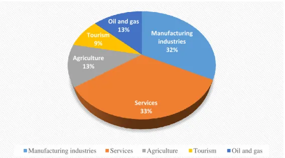 Figure 5.12: GDP contribution by sector in Egypt 2013, (Source: Central Bank of Egypt Report, 2012)