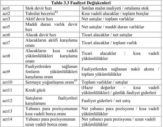 Tablo 3.3 Faaliyet Değişkenleri 